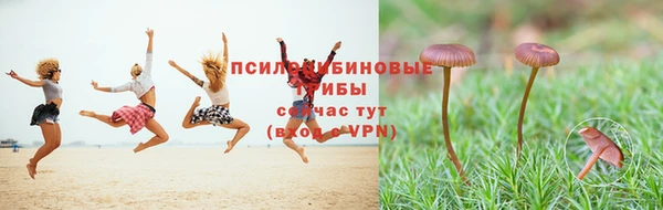 прущая мука Куйбышев